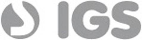 IGS Gesellschaft für strategisches Projektmanagement